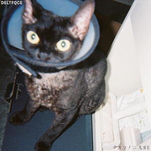 美女奶头视频一区二区三区
