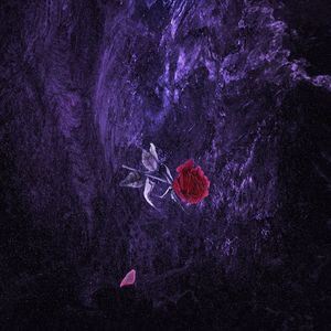 美女奶头视频一区二区三区
