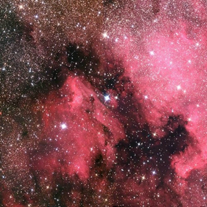 美女奶头视频一区二区三区
